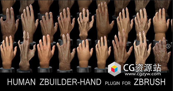 zbrush制作人手模型工具插件humanzbuilder–hand