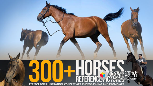 300 Horses Reference Pictures