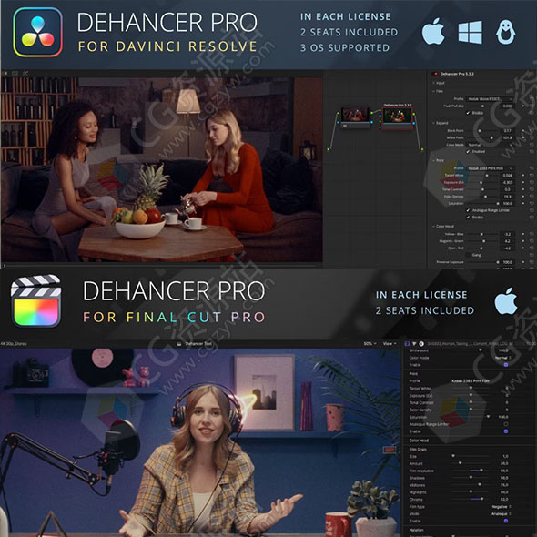 Dehancer Pro